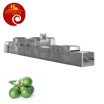 Dongxuya Hot Selling Microwave Betel Nut Baking Drying Sterilization Processing Machine